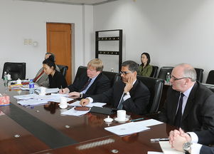 深化國(guó)際合作，共推政府財(cái)務(wù)報(bào)告改革——?jiǎng)⒗?huì)見(jiàn)國(guó)際貨幣基金組織政府綜合財(cái)務(wù)報(bào)告咨詢(xún)團(tuán)側(cè)記