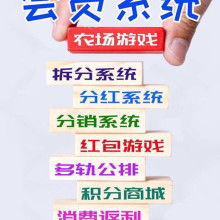 企業(yè)財(cái)務(wù)管理優(yōu)化與財(cái)務(wù)咨詢(xún)服務(wù)價(jià)值